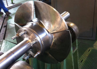 hydroenergy : turbine Kaplan
